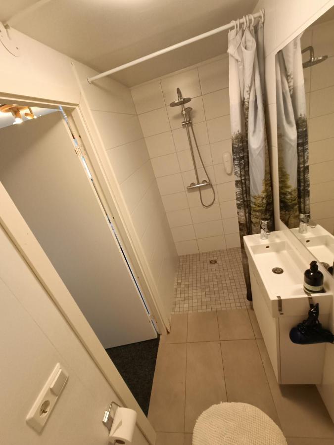 Arsalir Guesthouse Vik B&B ภายนอก รูปภาพ